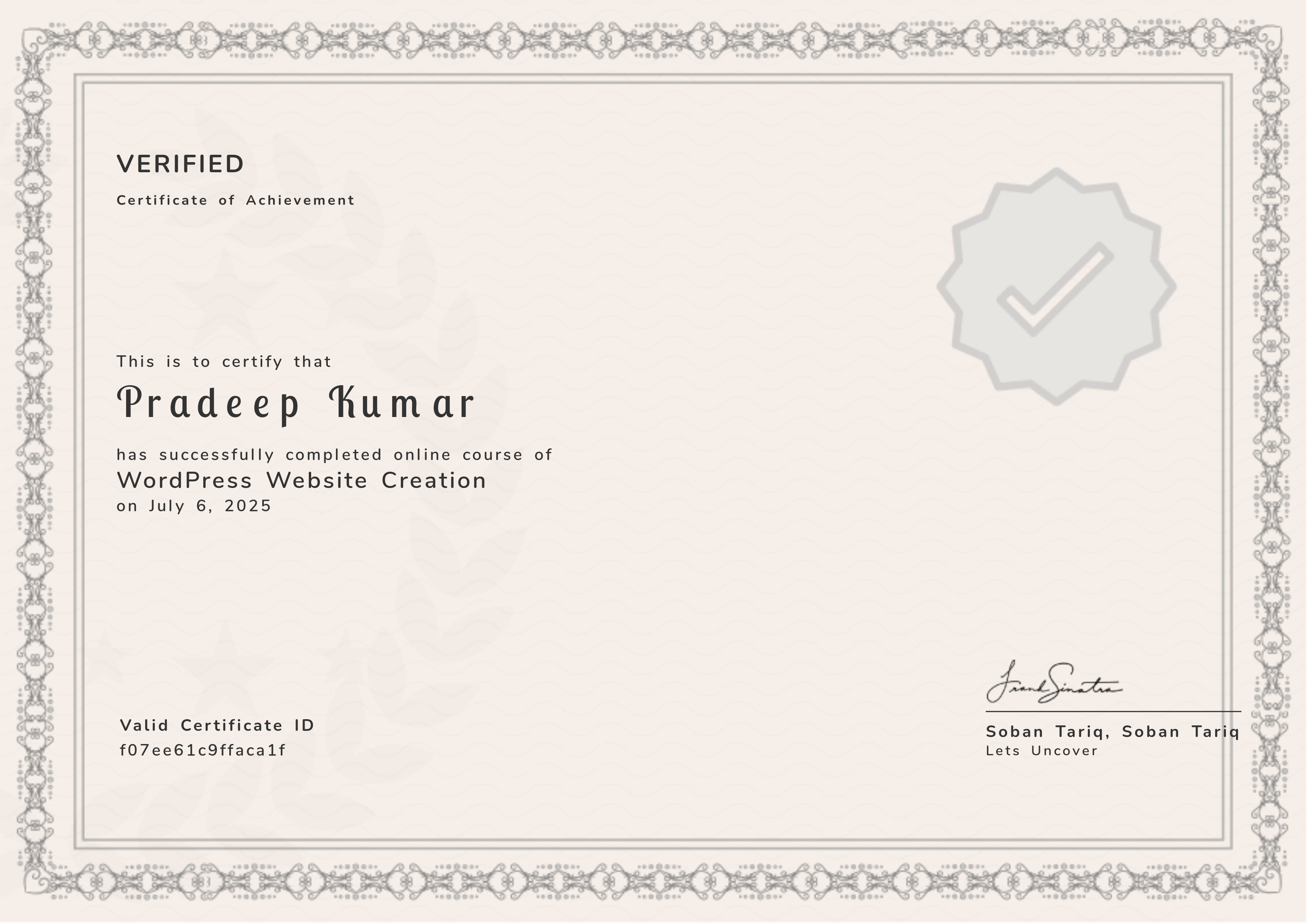 WordPress Website Creation